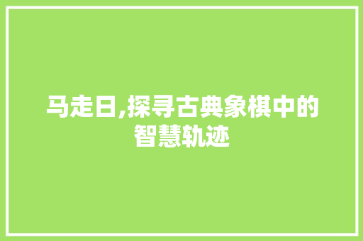 马走日,探寻古典象棋中的智慧轨迹 WordPress教程