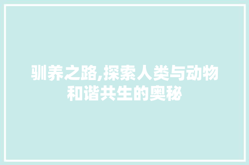 驯养之路,探索人类与动物和谐共生的奥秘