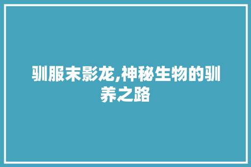 驯服末影龙,神秘生物的驯养之路