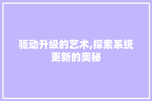 驱动升级的艺术,探索系统更新的奥秘 Web前端