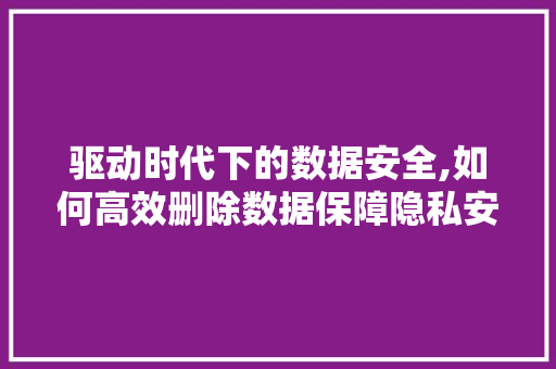 驱动时代下的数据安全,如何高效删除数据保障隐私安全