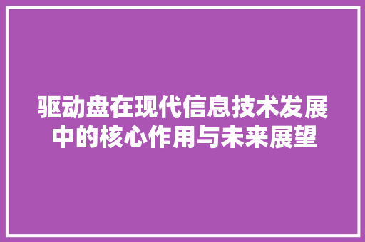 驱动盘在现代信息技术发展中的核心作用与未来展望