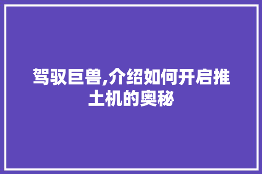 驾驭巨兽,介绍如何开启推土机的奥秘