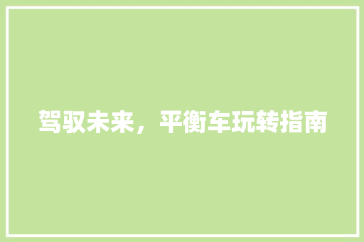 驾驭未来，平衡车玩转指南 WordPress教程