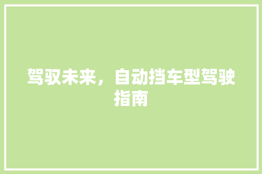 驾驭未来，自动挡车型驾驶指南