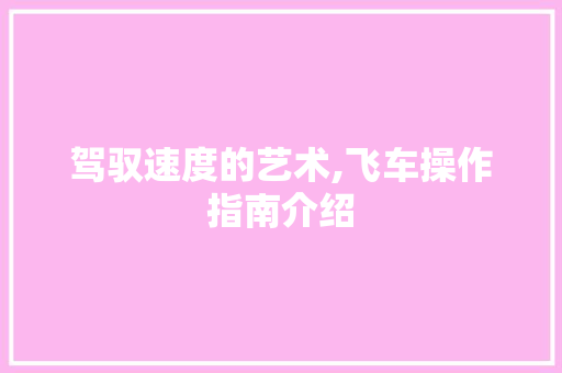 驾驭速度的艺术,飞车操作指南介绍 WordPress教程