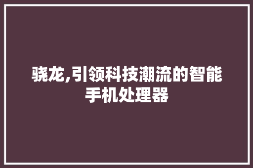 骁龙,引领科技潮流的智能手机处理器 SEO教程
