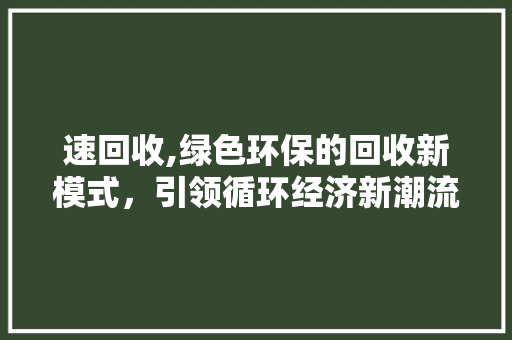 速回收,绿色环保的回收新模式，引领循环经济新潮流