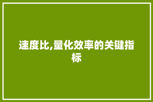速度比,量化效率的关键指标