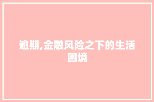 逾期,金融风险之下的生活困境
