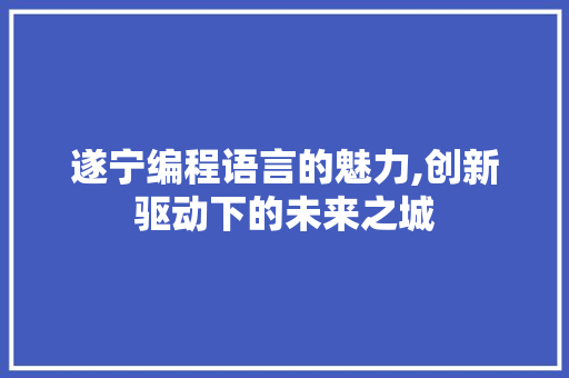 遂宁编程语言的魅力,创新驱动下的未来之城 建站教程