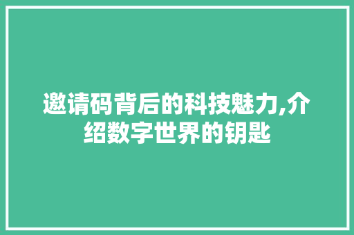 邀请码背后的科技魅力,介绍数字世界的钥匙