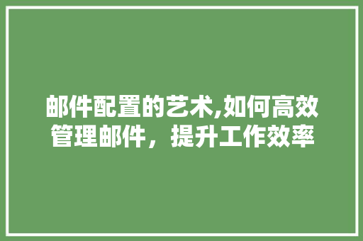 邮件配置的艺术,如何高效管理邮件，提升工作效率