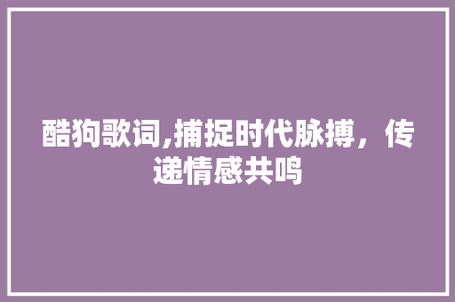 酷狗歌词,捕捉时代脉搏，传递情感共鸣
