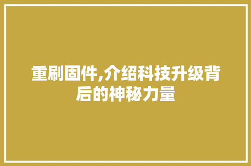 重刷固件,介绍科技升级背后的神秘力量