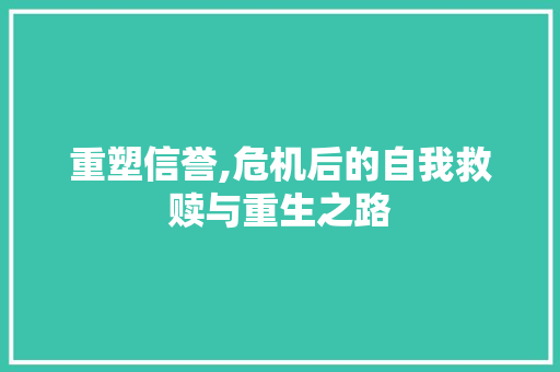重塑信誉,危机后的自我救赎与重生之路
