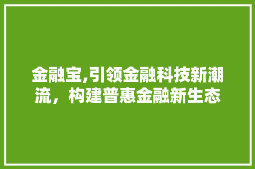 金融宝,引领金融科技新潮流，构建普惠金融新生态 WordPress教程