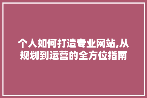 个人如何打造专业网站,从规划到运营的全方位指南