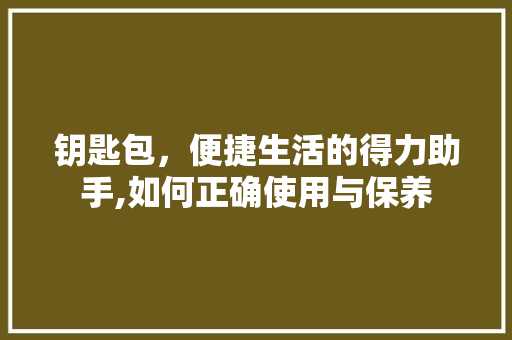 钥匙包，便捷生活的得力助手,如何正确使用与保养