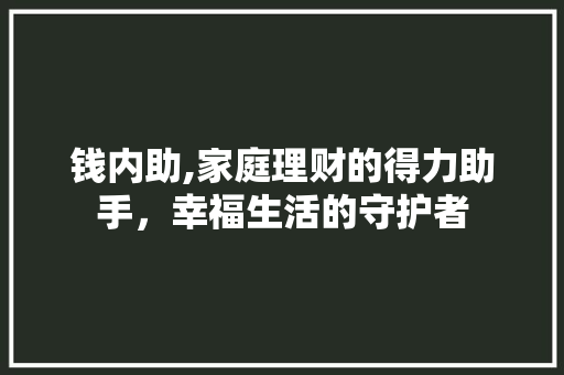 钱内助,家庭理财的得力助手，幸福生活的守护者 友链在线