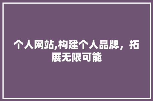 个人网站,构建个人品牌，拓展无限可能