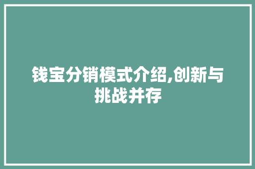 钱宝分销模式介绍,创新与挑战并存
