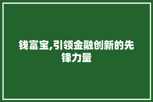 钱富宝,引领金融创新的先锋力量