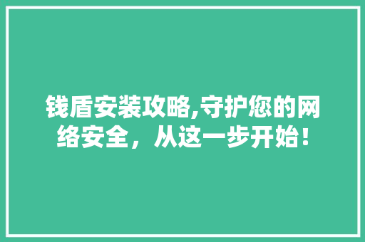 钱盾安装攻略,守护您的网络安全，从这一步开始！ SEO教程