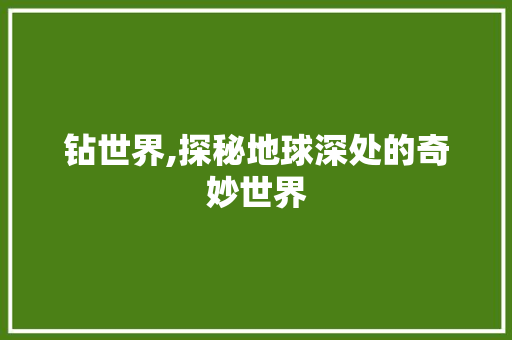 钻世界,探秘地球深处的奇妙世界 SEO教程