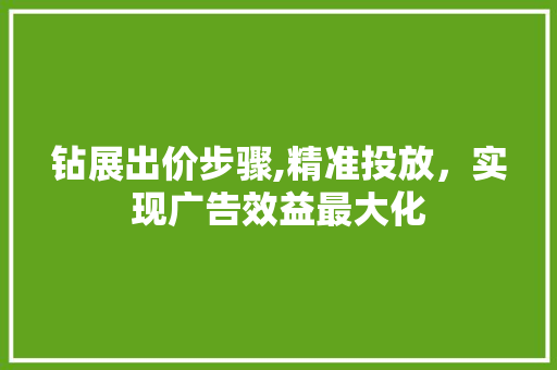 钻展出价步骤,精准投放，实现广告效益最大化