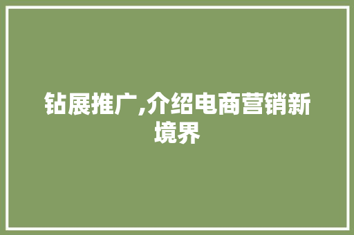钻展推广,介绍电商营销新境界