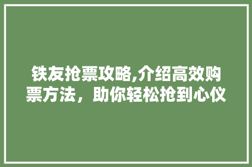 铁友抢票攻略,介绍高效购票方法，助你轻松抢到心仪车票 SEO教程