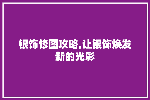 银饰修图攻略,让银饰焕发新的光彩