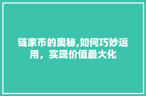 链家币的奥秘,如何巧妙运用，实现价值最大化
