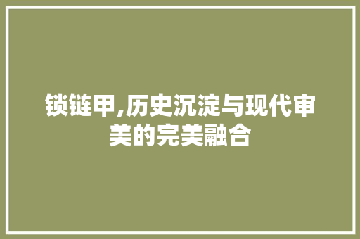 锁链甲,历史沉淀与现代审美的完美融合