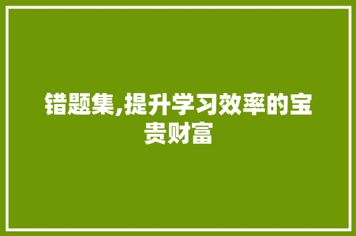 错题集,提升学习效率的宝贵财富