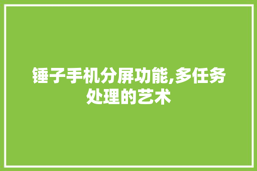 锤子手机分屏功能,多任务处理的艺术
