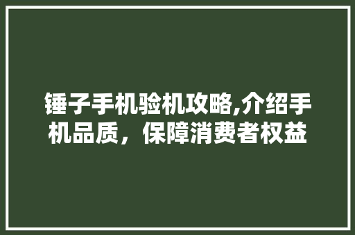 锤子手机验机攻略,介绍手机品质，保障消费者权益