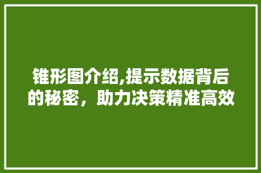 锥形图介绍,提示数据背后的秘密，助力决策精准高效 Web前端