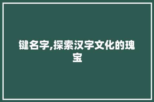 键名字,探索汉字文化的瑰宝 服务器/数据库