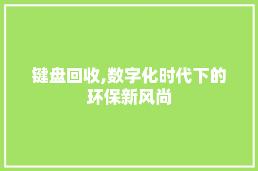 键盘回收,数字化时代下的环保新风尚