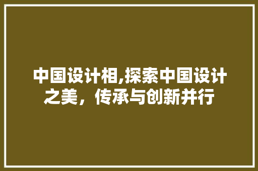 中国设计相,探索中国设计之美，传承与创新并行