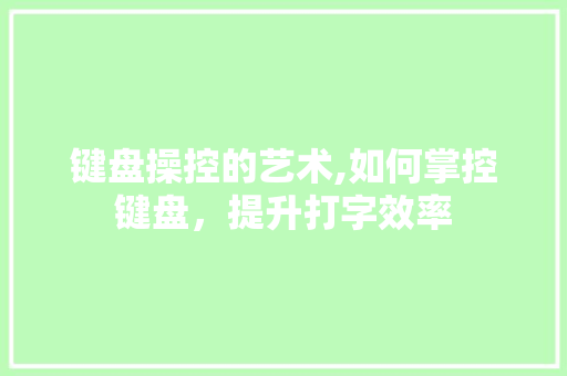 键盘操控的艺术,如何掌控键盘，提升打字效率