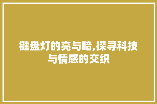 键盘灯的亮与暗,探寻科技与情感的交织