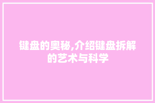 键盘的奥秘,介绍键盘拆解的艺术与科学