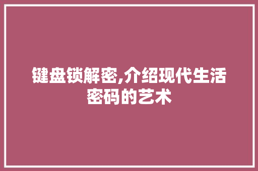键盘锁解密,介绍现代生活密码的艺术