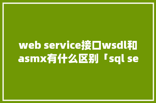 web service接口wsdl和asmx有什么区别「sql server数据库接口」