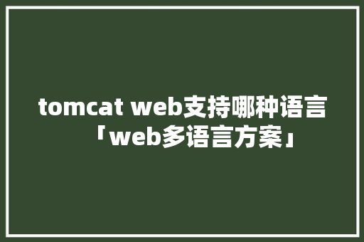 tomcat web支持哪种语言「web多语言方案」