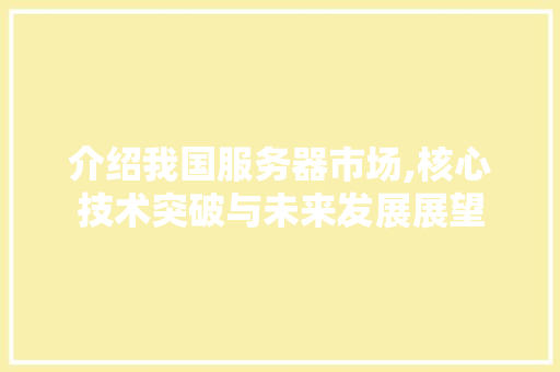 介绍我国服务器市场,核心技术突破与未来发展展望