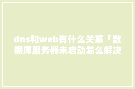 dns和web有什么关系「数据库服务器未启动怎么解决」